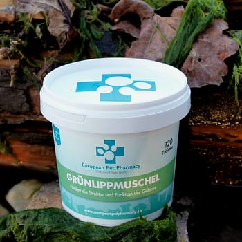 Grünlippmuschel - Vorsorge Gelenke