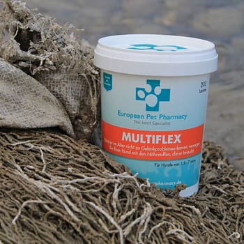 Multiflex - Vorsorge Gelenke