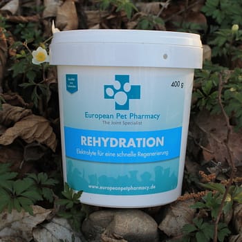 Rehydration - Regeneration