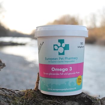 Omega 3 - Wichtige Fettsäuren