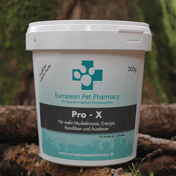 Pro X - Muskelaufbau Insektenprotein