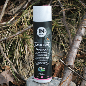 IN-FLUENCE - Black Coat Shampoo