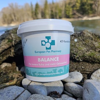 European Pet Pharmacy’s Balance bietet eine beruhigende Unterstützung bei Stress und Angst bei deinem Haustier.