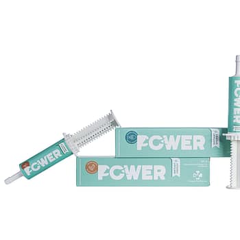POWER - Energiepaste Huhn/Lachs