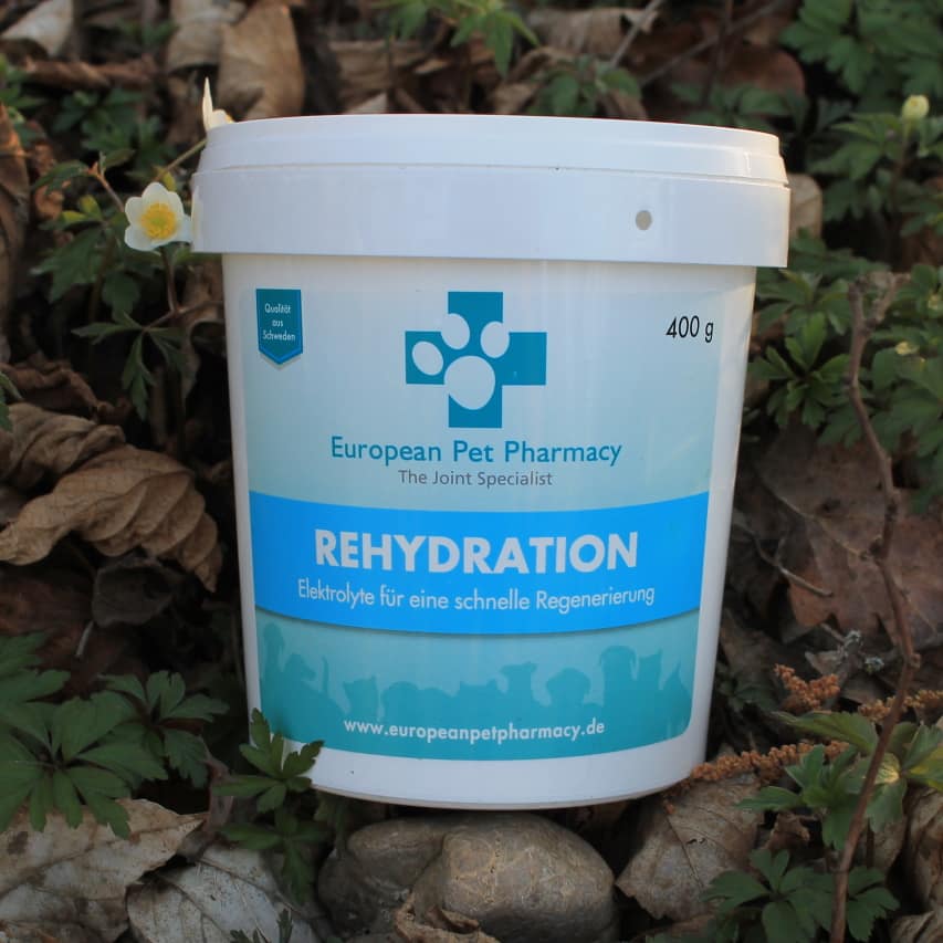 Rehydration - Regeneration